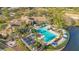 Aerial view of community pool with many palm trees, lounge chairs and umbrellas around the large pool at 1290 Grady Ln # 20232, Davenport, FL 33896