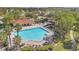 Aerial view of the resort-style community pool surrounded by palm trees and comfortable lounge chairs at 2509 Chapala Dr, Kissimmee, FL 34746