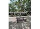 Picnic table in a covered pavilion, surrounded by lush greenery at 2956 Lucayan Harbour Cir # 108, Kissimmee, FL 34746