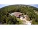 Stunning aerial view of a home with a private pool, circular driveway, and lush landscaping surrounded by mature trees at 3150 Appaloosa Ct, Kissimmee, FL 34746