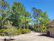 Long private driveway lined with trees, creating a scenic path to the home and garage at 3150 Appaloosa Ct, Kissimmee, FL 34746