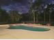 Enjoy an evening dip in this gorgeous swimming pool with lush landscaping illuminated against a night sky at 3150 Appaloosa Ct, Kissimmee, FL 34746
