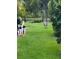 Backyard view of a turkey walking on the grass next to pool equipment, with greenery and a lake in the background at 321 Cape Sable Dr, Orlando, FL 32825