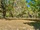 Scenery of a grassy park area with oak trees at 3548 Picciola Cutoff Rd, Fruitland Park, FL 34731