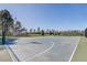 Outdoor basketball court with hoops and a well-maintained playing surface surrounded by greenery at 9673 Sw 63Rd Loop, Ocala, FL 34481