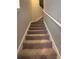 Carpeted staircase leading to the upper level of the home at 1247 Travertine Ter, Sanford, FL 32771