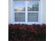 Window box with pink azalea blossoms in front of a window with white trim and shade at 506 Freeman St, Longwood, FL 32750