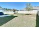 Spacious backyard featuring well-maintained grass and a white fence for privacy at 2820 Black Birch Dr, Ocoee, FL 34761