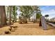 Community playground with climbing structure, playhouse, and ample space for to play at 2820 Black Birch Dr, Ocoee, FL 34761