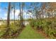 Path through lush greenery, leading to a tranquil lake at 30041 Redoak Ave, Eustis, FL 32736