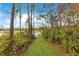 Lush backyard path leading to the tranquil pond surrounded by natural beauty and greenery at 30041 Redoak Ave, Eustis, FL 32736