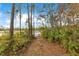 A scenic path leads to a tranquil pond surrounded by lush natural vegetation at 30041 Redoak Ave, Eustis, FL 32736