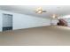 Spacious basement with carpet, bright lighting, and open layout at 7435 Redwing Rd, Groveland, FL 34736