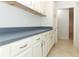 Laundry area features white cabinets, blue countertop, neutral paint and tile flooring at 7435 Redwing Rd, Groveland, FL 34736