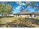 Spacious backyard with large trees, a patio, an egg chair, and grill at 1137 Stratton Ave, Groveland, FL 34736