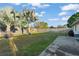 Fenced backyard with lush lawn, palm trees, and a concrete patio for outdoor enjoyment at 3121 Heartwood Ave, Winter Park, FL 32792