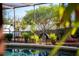 Backyard pool area featuring serene landscaping, decorative statues, and a screened enclosure at 5011 Dorian Ave, Belle Isle, FL 32812