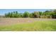 Lush green backyard space, surrounded by trees, offers a private and serene outdoor retreat at 368 Sand Ridge Dr, Davenport, FL 33896