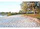 Secluded beach with soft white sand, lush reeds along lake and trees with peaceful views at 4852 Blue Major Dr, Windermere, FL 34786