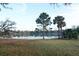 Picturesque pond view framed by mature trees, offering a serene and scenic backdrop at 4852 Blue Major Dr, Windermere, FL 34786