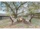 Outdoor fire pit nestled beneath a majestic tree in a grassy backyard at 5444 Lighthouse Rd, Orlando, FL 32808