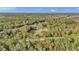 Breathtaking aerial view of the property surrounded by lush woodlands and offering a serene, private setting at 10115 E Highway 316, Fort Mc Coy, FL 32134