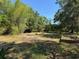 View of a large, sunny backyard surrounded by mature trees offering privacy and shade at 1121 Santa Anita St, Orlando, FL 32808