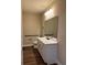 Modern bathroom with white vanity, large mirror, and updated fixtures at 2313 Ivy Harvest Pl, Oviedo, FL 32765