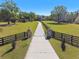 Long private driveway leading to the residence, framed by mature trees and fencing at 40600 Louise Rd, Umatilla, FL 32784
