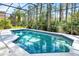Screened in backyard pool with brick trim and serene treeline view at 14740 Hartford Run Dr, Orlando, FL 32828