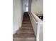Carpeted stairs with white risers lead to the second floor at 2861 Willowseed Ln, St Cloud, FL 34772