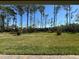 Beautiful lush green backyard featuring mature trees as seen from the covered patio at 3108 Firethorn Cir, Daytona Beach, FL 32124