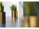 Close up of decorative planter with greenery, adding a touch of nature to the space at 6165 Carrier Dr # 3701, Orlando, FL 32819