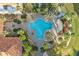 Aerial view of a trefoil-shaped pool with ample lounge chairs and lush landscaping at 188 Olympus Way, Kissimmee, FL 34759