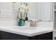 Bathroom sink with modern faucet, and decor accents at 188 Olympus Way, Kissimmee, FL 34759
