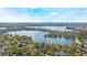 Aerial view features stunning homes and lush landscapes with a beautiful lake view in the background at 250 Cortland Ave, Winter Park, FL 32789