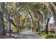 Scenic street view framed by mature trees draped with Spanish moss on a sunny day at 427 N Lakeview Ave, Winter Garden, FL 34787