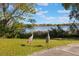Picturesque backyard scene with two sandhill cranes near the lake, showcasing the natural beauty of the property at 703 Cricklewood Ter, Lake Mary, FL 32746
