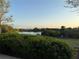 A peaceful view of a pond with lush greenery and glimpses of neighborhood homes at 14675 Scott Key Dr, Winter Garden, FL 34787