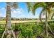 Backyard view of the golf course from behind the black metal fence at 1523 Corolla Ct, Reunion, FL 34747