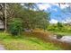 Secluded backyard area featuring a partial pond, mature trees, and lush greenery at 1800 Johnson Dr, Clermont, FL 34711