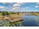 Scenic lake view with a wooden dock and aquatic plants under a partly cloudy sky at 15580 Blackbead St, Winter Garden, FL 34787