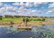 Scenic lake view with a wooden dock and aquatic plants under a partly cloudy sky at 15580 Blackbead St, Winter Garden, FL 34787