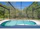 Clean enclosed pool with surrounding landscape at 4561 Cabello Loop, Kissimmee, FL 34746