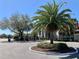 Community entrance with a roundabout, palm trees, and decorative landscaping at 3772 Idlebrook Cir # 210, Casselberry, FL 32707