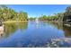 Serene lake view featuring a fountain with lush green trees against a clear blue sky at 413 Summit Ridge Pl # 115, Longwood, FL 32779