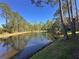 Backyard pond with fountain surrounded by lush trees and green grass at 413 Summit Ridge Pl # 115, Longwood, FL 32779