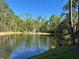 Picturesque pond featuring a fountain with lush greenery all around at 413 Summit Ridge Pl # 115, Longwood, FL 32779