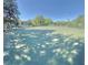 Outdoor tennis court in a community, offering a recreational space for residents with trees around at 413 Summit Ridge Pl # 115, Longwood, FL 32779