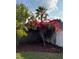 A lush backyard with a variety of trees, including one with bright red flowers, and a privacy fence at 12546 Britwell Ct, Orlando, FL 32837